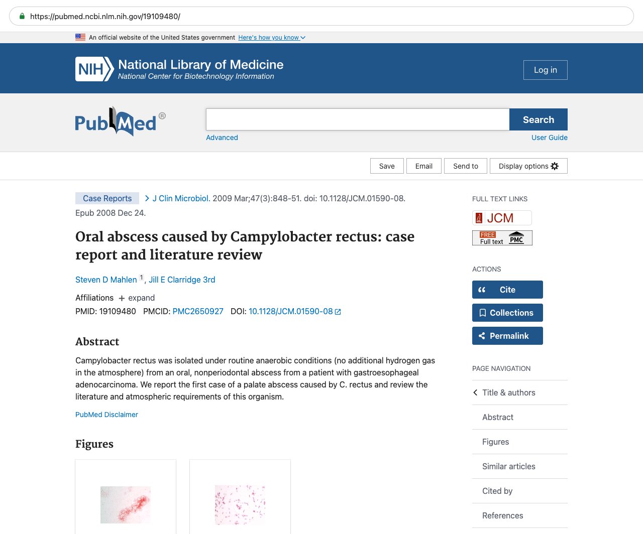 Screenshot — PubMed 19109480